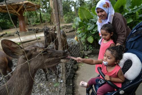 ZOO NEGARA