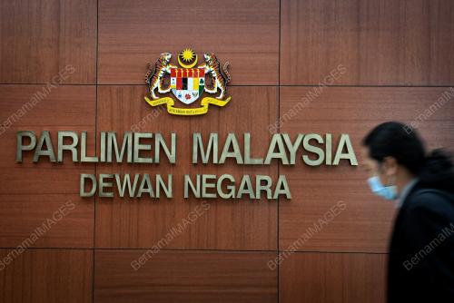 DEWAN NEGARA