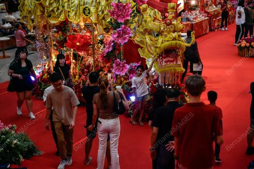 TINJAUAN TAHUN BARU CINA