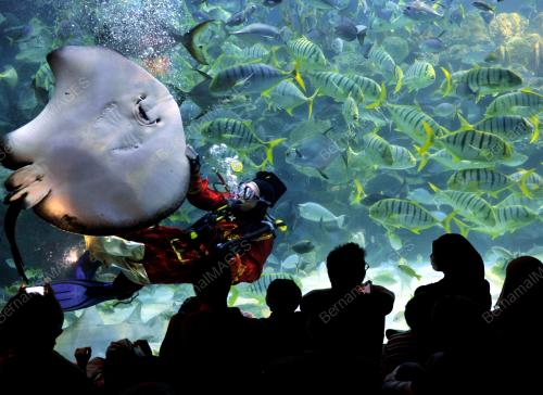 KL32_10022013_AQUARIA
