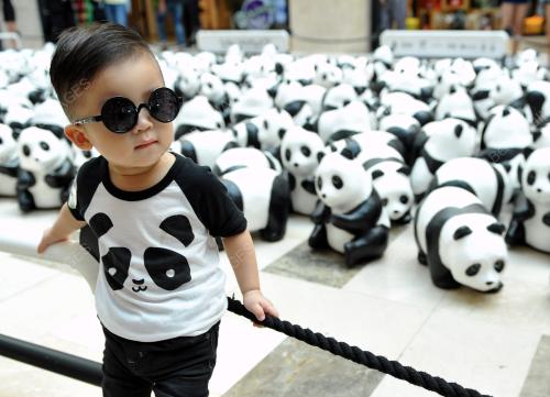 KL32_13012015_1600PANDA