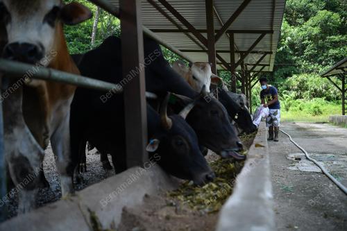 PERINTAH KAWALAN PERGERAKAN