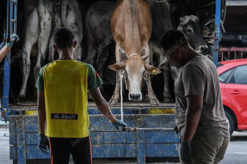 KL32_21082018_QURBAN_BN201808206292