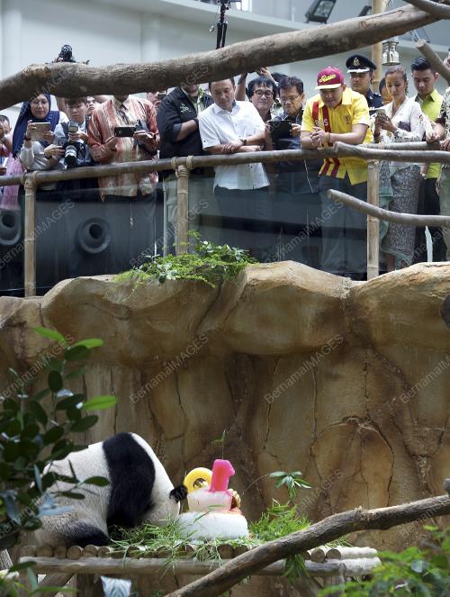 KL32_23082016_ZOO