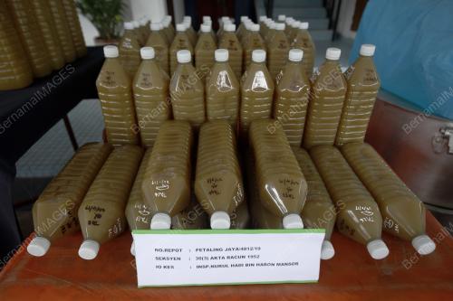 KL32_24042019_KETUM_BN201904237695