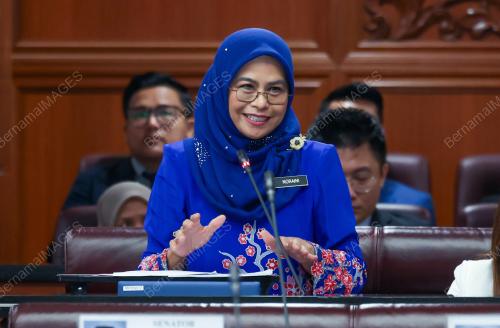 DATUK SERI DR NORAINI AHMAD