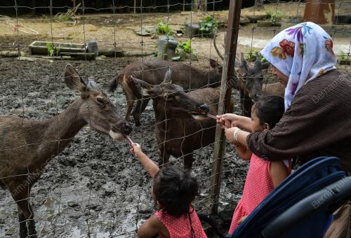 ZOO NEGARA