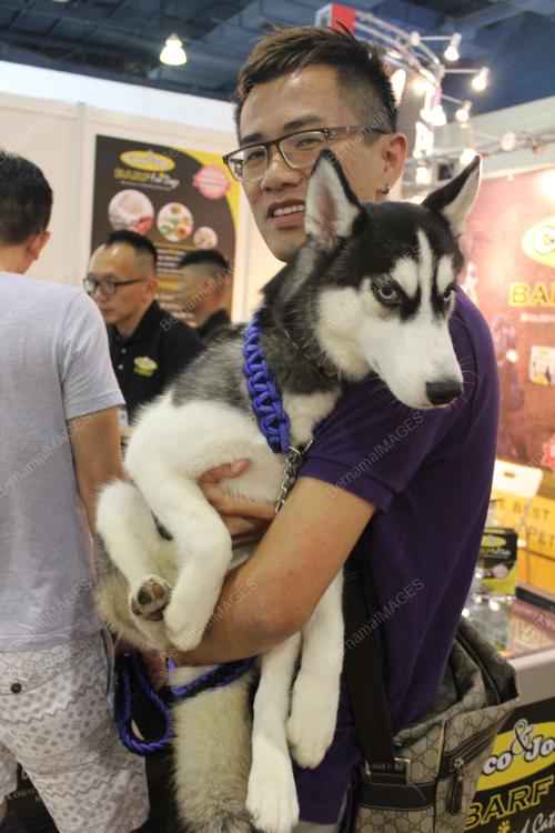 KL32_27062015_PET_WORLD