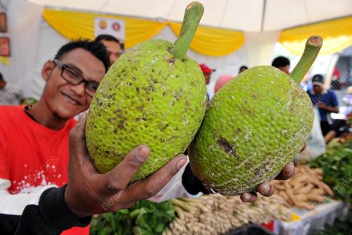 KL33_04032014_ANTIDADAH