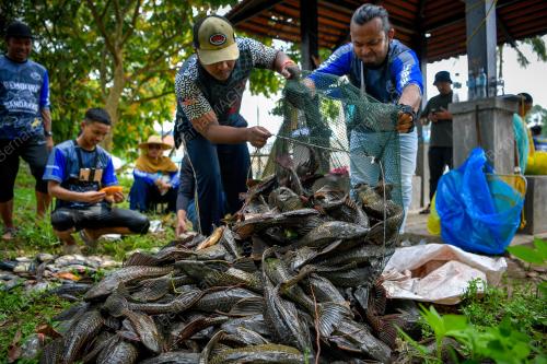 KOMUNITI PEMBURU IKAN BANDARAYA