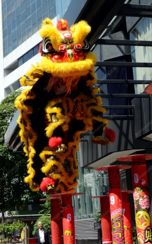 TARIAN SINGA