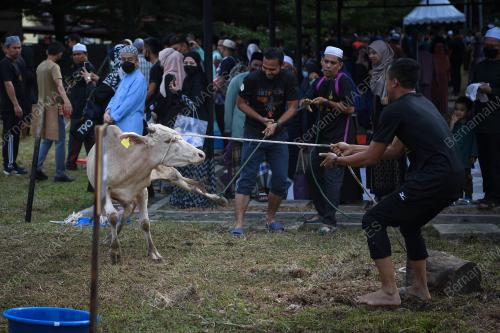 AIDILADHA ATM