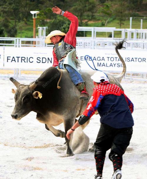 PERTUNJUKAN RODEO