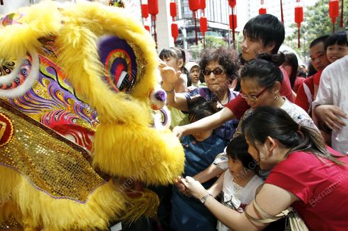 TAHUN BARU CINA