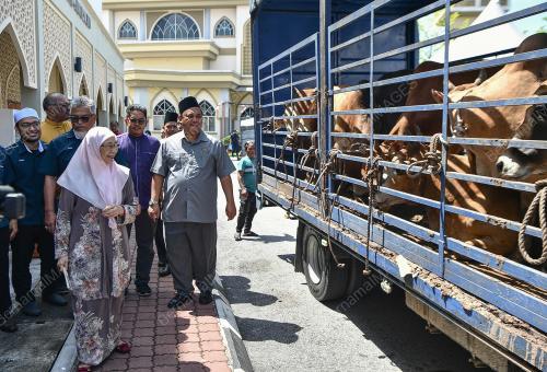 DATUK SERI DR WAN AZIZAH WAN ISMAIL
