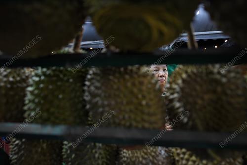 KL33_18122017_DURIAN