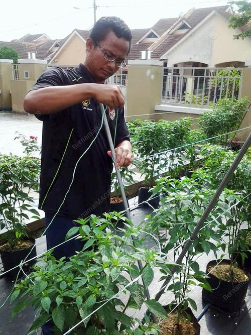 MOHD IZRANUDIN JELANI