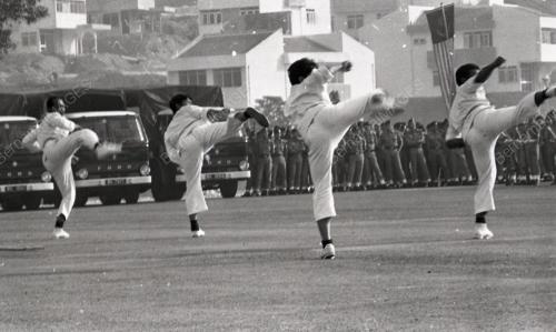 GIAN SINGH