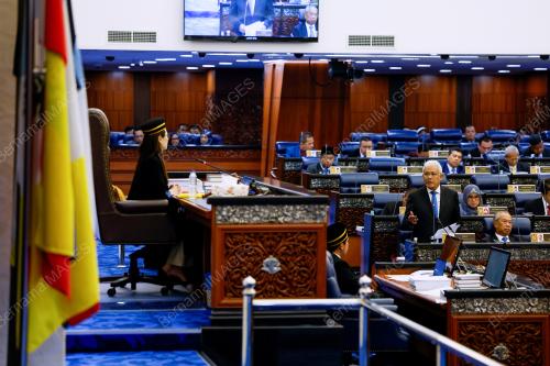 DATUK SERI HAMZAH ZAINUDIN
