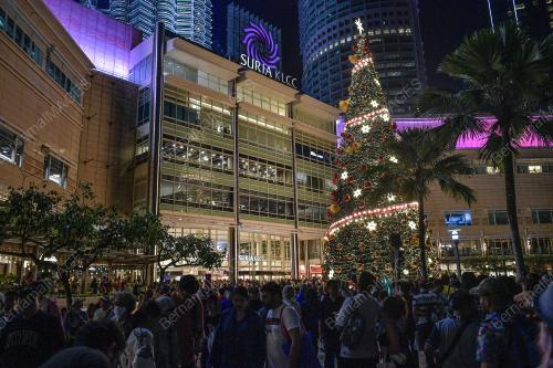 POKOK KRISMAS
