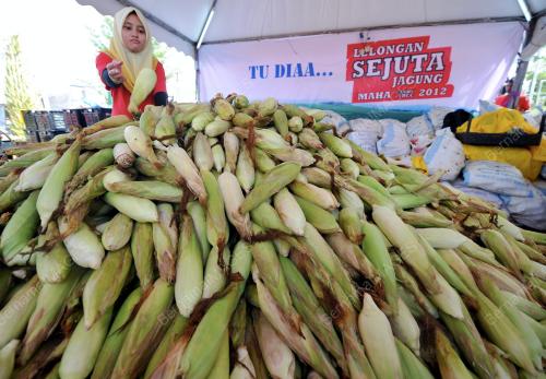 KL33_24112012_MAHA6