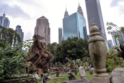 POKOK TUMBANG TANAH PERKUBURAN