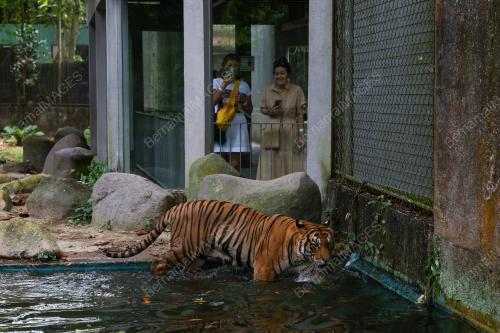 ZOO NEGARA