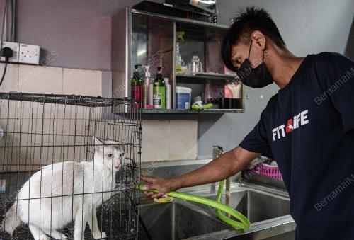 VETERINAR_LOCKDOWN