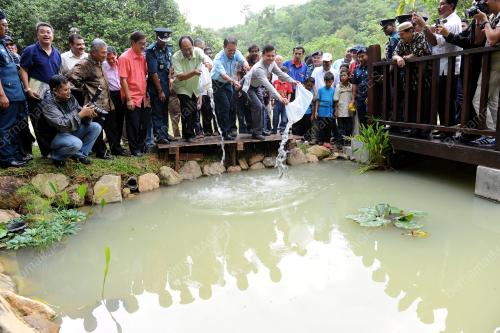 KL34_07072012_TAMAN_RIMBA