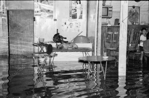 BANJIR