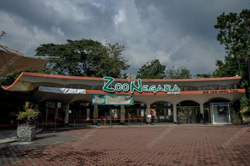 ZOO NEGARA KEMBALI ALAMI KRISIS KEWANGAN