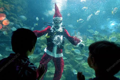 KL34_21122016_SANTA_AQUARIA