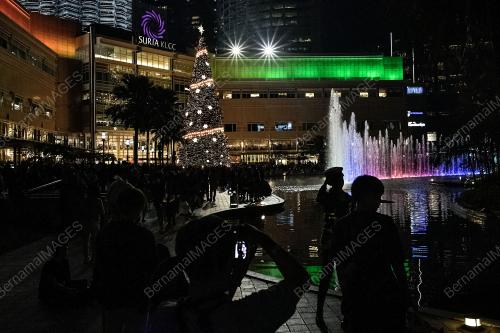 POKOK KRISMAS
