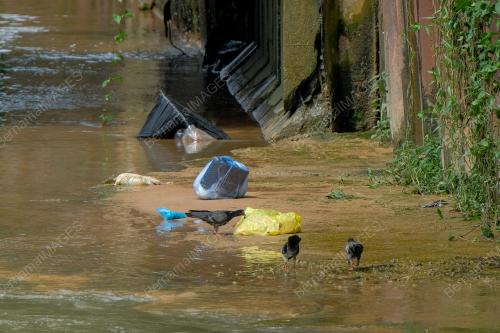TINJAUAN SAMPAH SARAP YANG TERSANGKUT DI PERANGKAP SAMPAH ATAU SUNGAI/ PARIT/ TERCEMAR SAMPAH SARAP