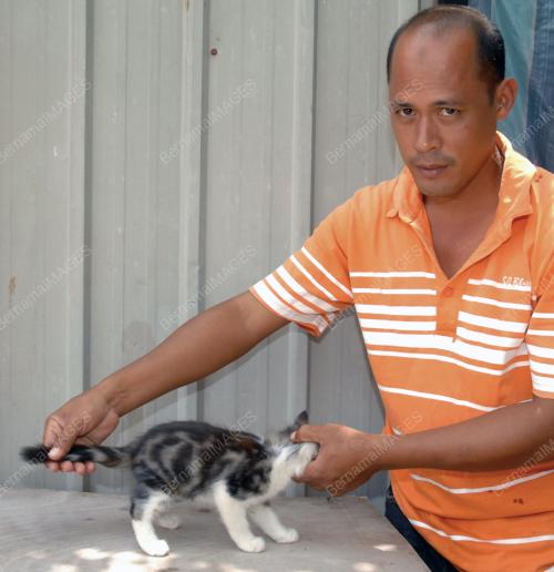 KUCING-KALIMAH ALLAH