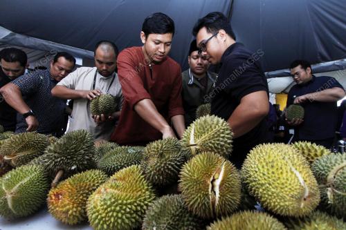 KL34_26072019_KP_BN201907236048