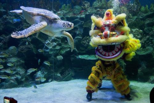 KL34_27012017_AQUARIA