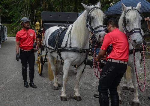 SARJAN MEJAR REJIMEN, PEGAWAI WAREN I NORAZMI ABDULLAH