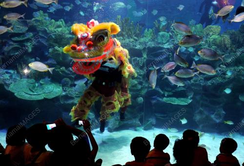TARIAN SINGA DI AQUARIA KLCC