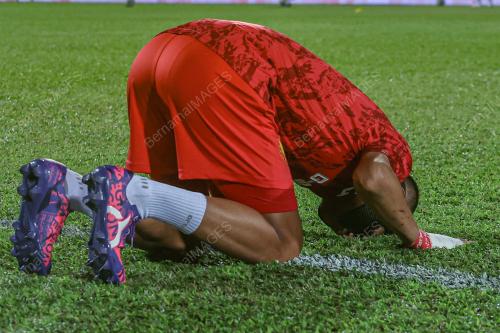 FAISAL HALIM