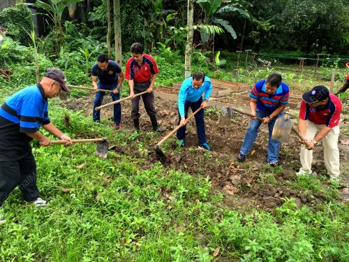 KL35_08112015_KEBUN