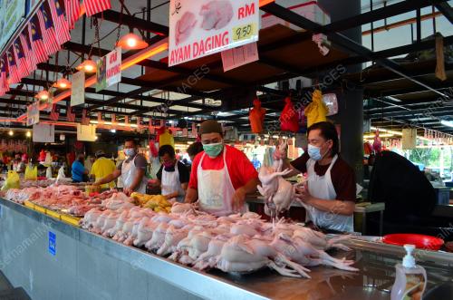 TINJAUAN KENAIKAN HARGA AYAM