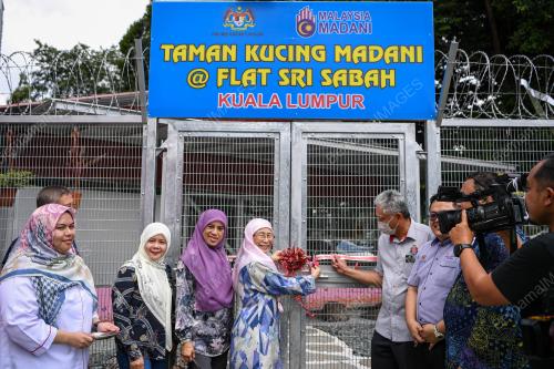 TAMAN KUCING MADANI