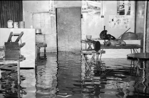 BANJIR