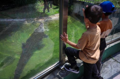 TINJAUAN CUTI HUJUNG MINGGU DI ZOO NEGARA