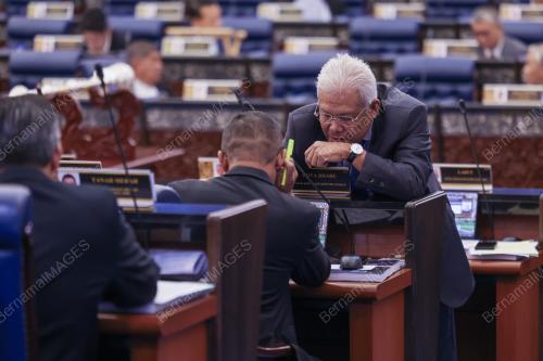 DATUK SERI HAMZAH ZAINUDIN