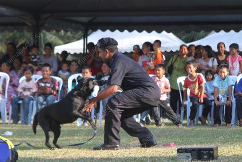 SAMBUTAN HARI POLIS KE-204