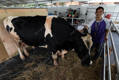 KL35_21112018_MAHA_PAMERAN