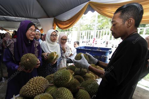KL35_26072019_KP_BN201907236048