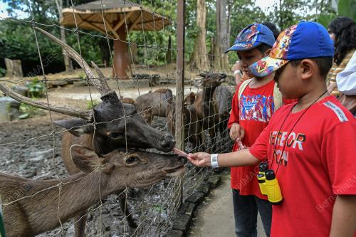 ZOO NEGARA